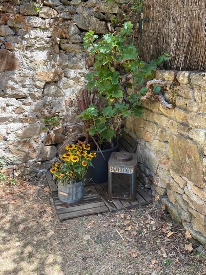 Le Patio, Coeur De Ville Avec Garage Et Jardin วานส์ ภายนอก รูปภาพ